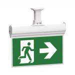 Lampi Exit
